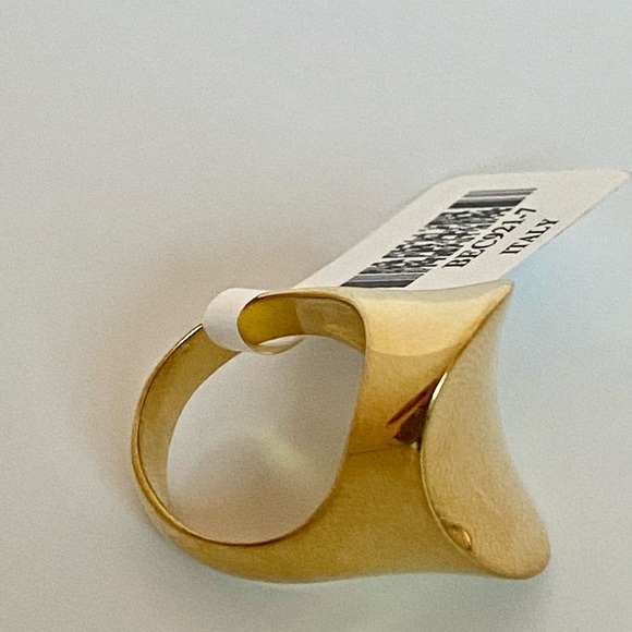 Mods AL Massimo Ring! 7 - Picture 11 of 13